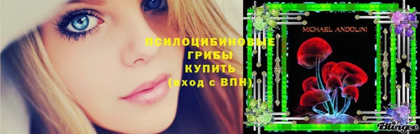 apvp Лабытнанги
