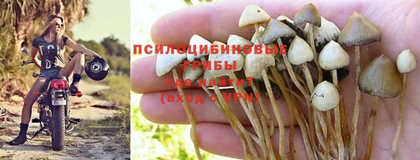 таблы Алексеевка